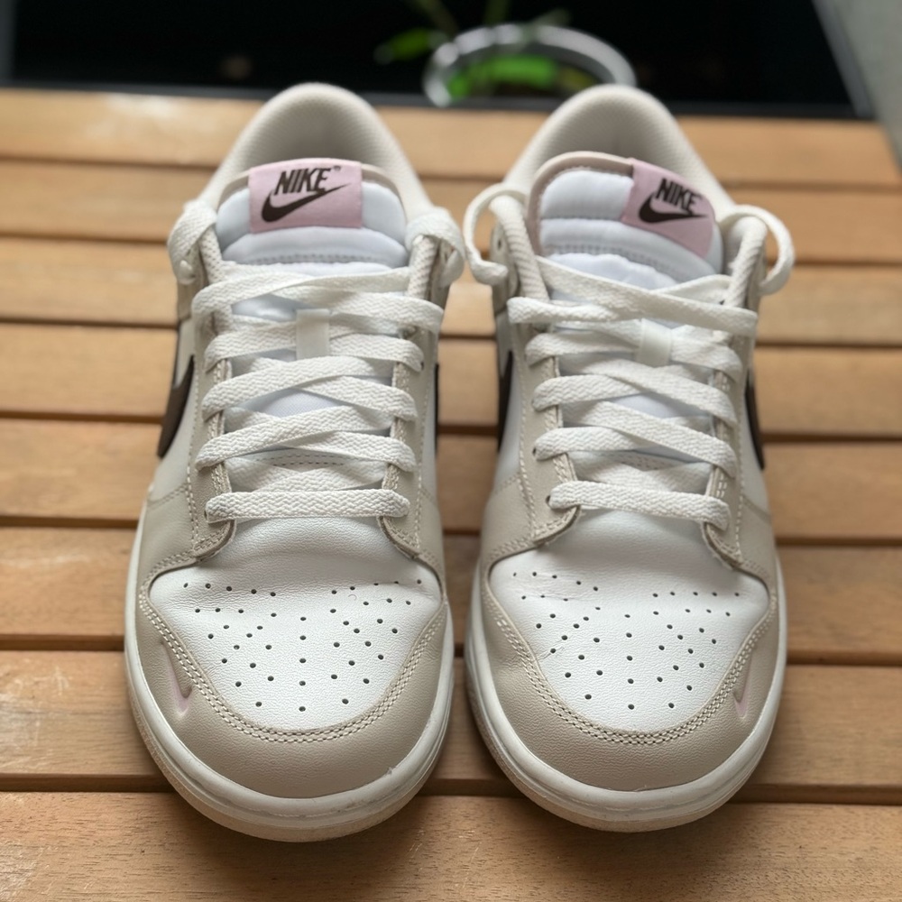 Women's Nike Dunk Low Casual Shoes